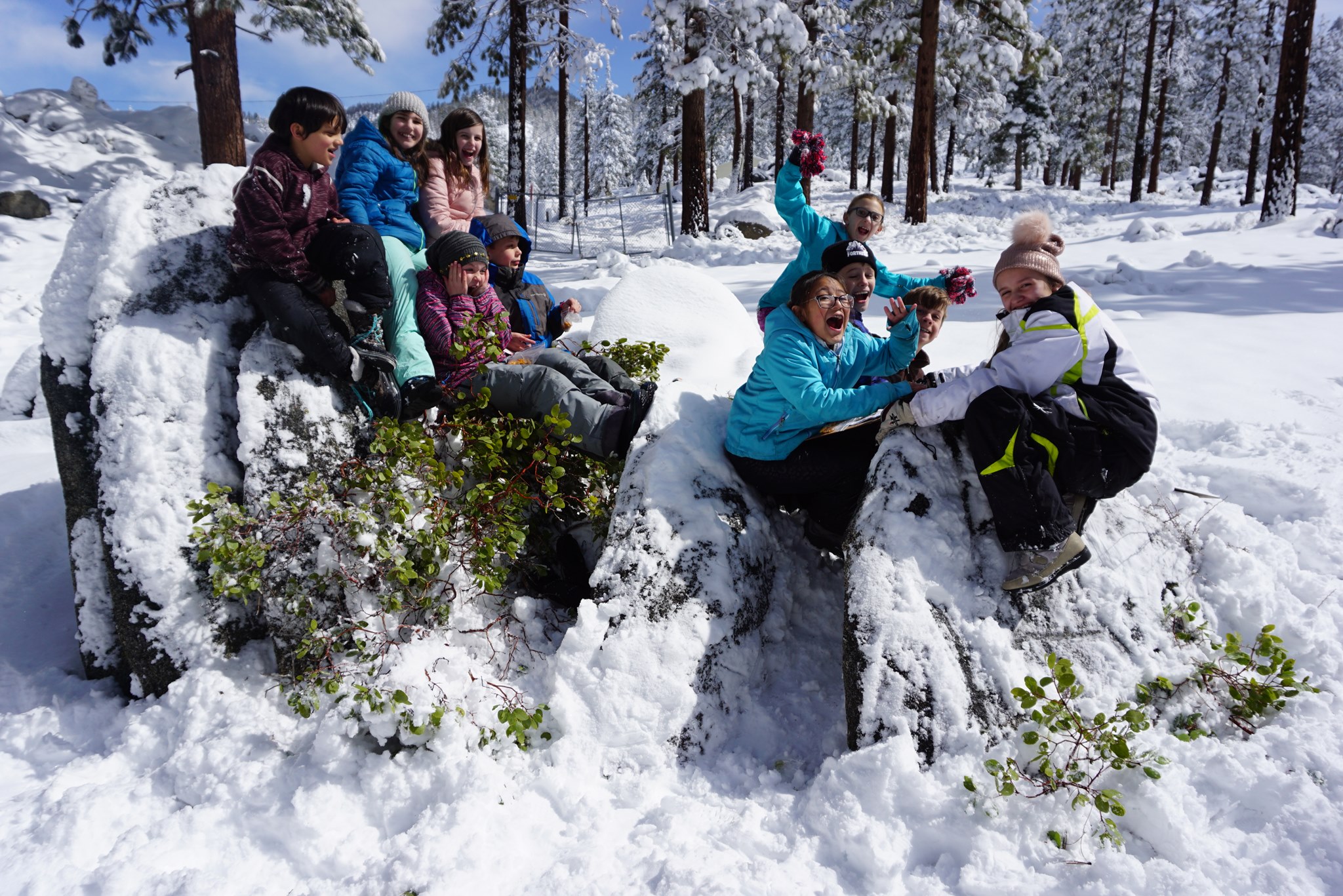 Sierra Nevada Journeys at Grizzly Creek Ranch – The Lost Sierra Chamber ...