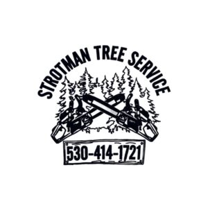 Strotman Tree Service